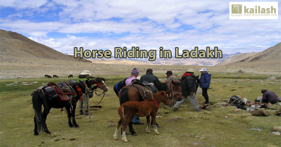 Horse Riding in Ladakh